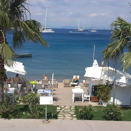 Ipek גולטורקבוקו